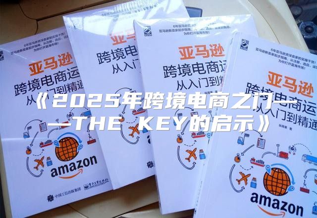 2025年跨境电商之门——THEKEY的启示