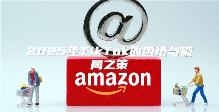 2025年TikTok的困境与破局之策