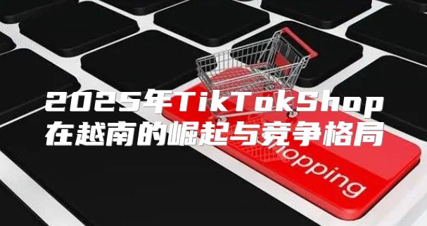 2025年TikTokShop在越南的崛起与竞争格局