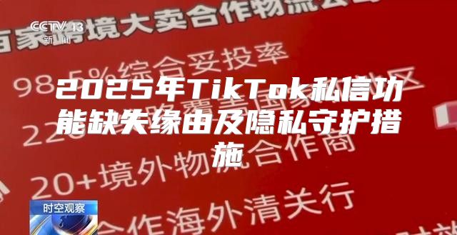 2025年TikTok私信功能缺失缘由及隐私守护措施