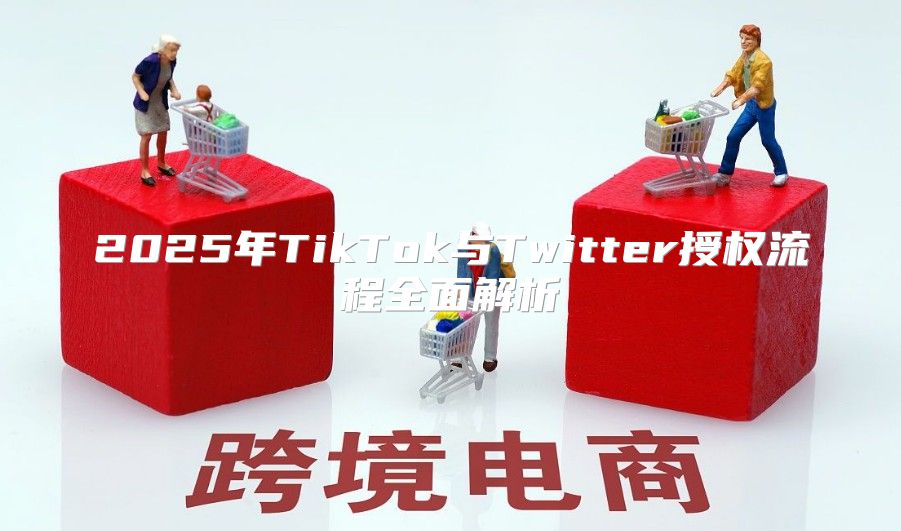 2025年TikTok与Twitter授权流程全面解析