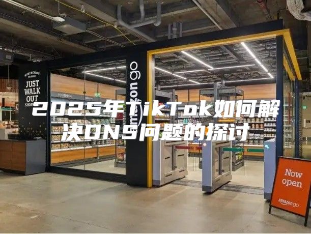 2025年TikTok如何解决DNS问题的探讨