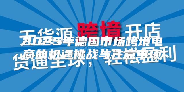 2025年德国市场跨境电商的机遇挑战与注意事项