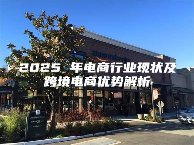 2025 年电商行业现状及跨境电商优势解析