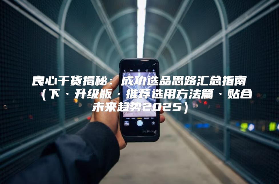 良心干货揭秘：成功选品思路汇总指南下·升级版·推荐选用方法篇·贴合未来趋势2025