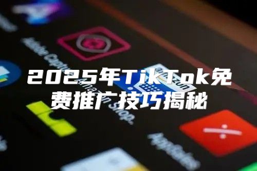 2025年TikTok免费推广技巧揭秘