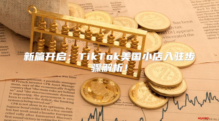 新篇开启：TikTok美国小店入驻步骤解析！