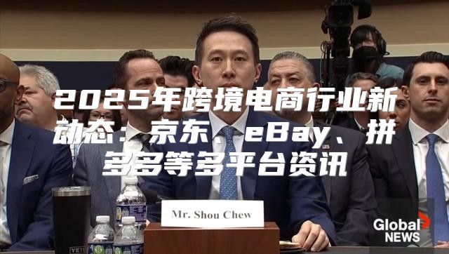 2025年跨境电商行业新动态：京东、eBay、拼多多等多平台资讯