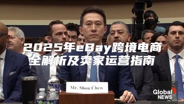 2025年eBay跨境电商全解析及卖家运营指南