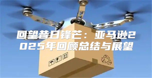 回望昔日锋芒：亚马逊2025年回顾总结与展望