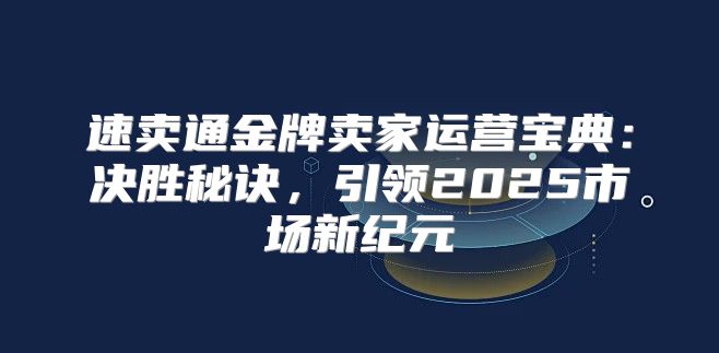 速卖通金牌卖家运营宝典：决胜秘诀，引领2025市场新纪元