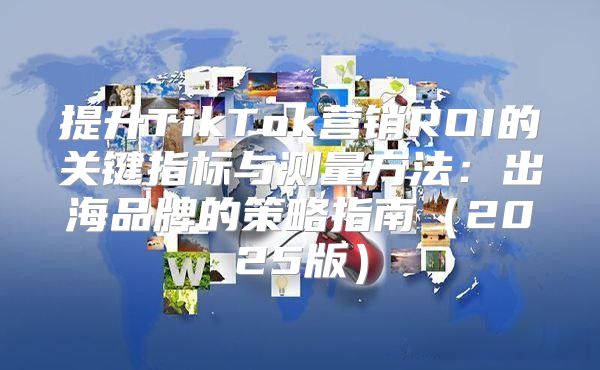 提升TikTok营销ROI的关键指标与测量方法：出海品牌的策略指南2025版
