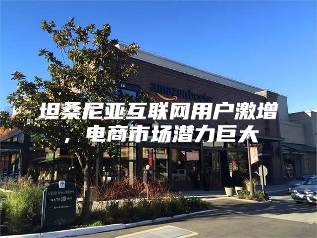 坦桑尼亚互联网用户激增，电商市场潜力巨大