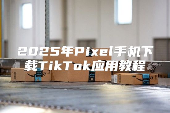 2025年Pixel手机下载TikTok应用教程