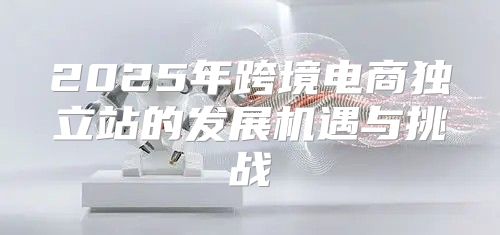 2025年跨境电商独立站的发展机遇与挑战