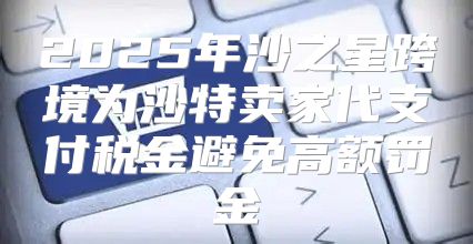2025年沙之星跨境为沙特卖家代支付税金避免高额罚金