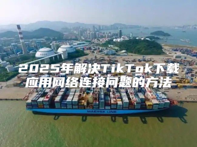 2025年解决TikTok下载应用网络连接问题的方法
