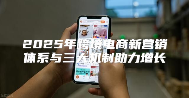 2025年跨境电商新营销体系与三大机制助力增长