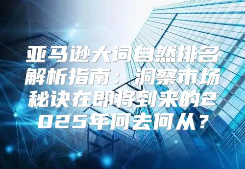 亚马逊大词自然排名解析指南：洞察市场秘诀在即将到来的2025年何去何从？