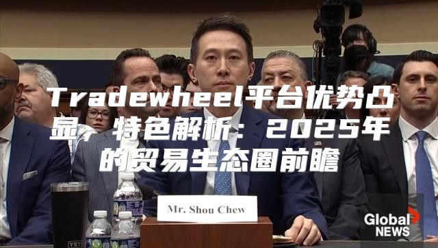 Tradewheel平台优势凸显，特色解析：2025年的贸易生态圈前瞻