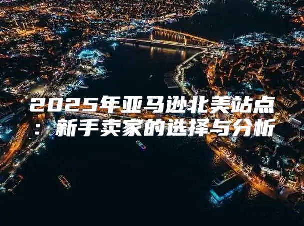 2025年亚马逊北美站点：新手卖家的选择与分析