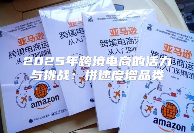 2025年跨境电商的活力与挑战：拼速度增品类