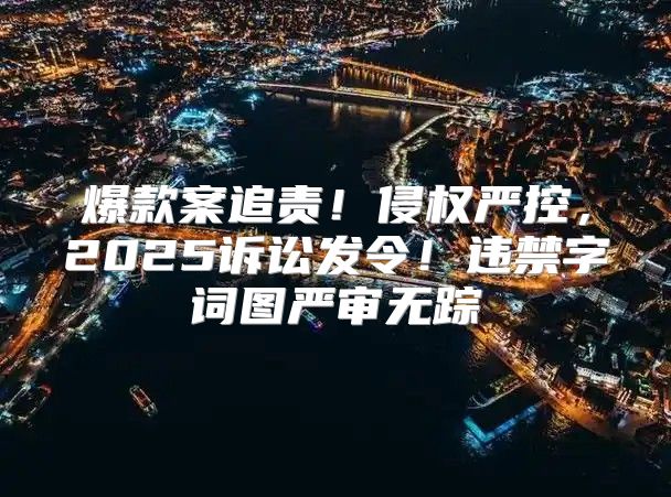 爆款案追责！侵权严控，2025诉讼发令！违禁字词图严审无踪