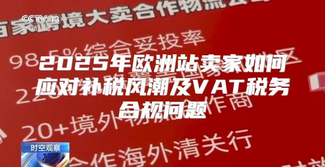 2025年欧洲站卖家如何应对补税风潮及VAT税务合规问题