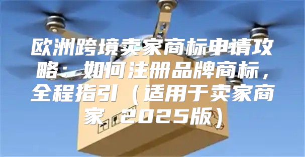 欧洲跨境卖家商标申请攻略：如何注册品牌商标，全程指引适用于卖家商家 2025版