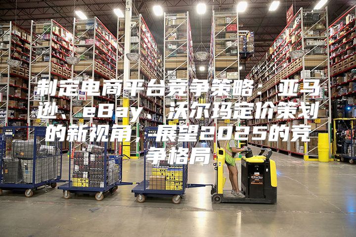 制定电商平台竞争策略：亚马逊、eBay、沃尔玛定价策划的新视角，展望2025的竞争格局