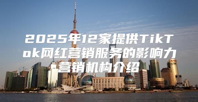 2025年12家提供TikTok网红营销服务的影响力营销机构介绍
