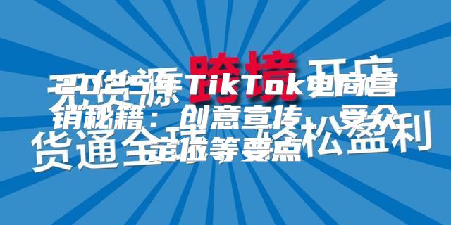 2025年TikTok电商营销秘籍：创意宣传、受众定位等要点