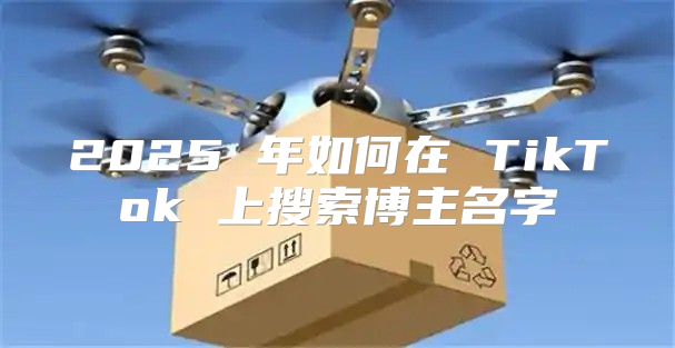 2025 年如何在 TikTok 上搜索博主名字