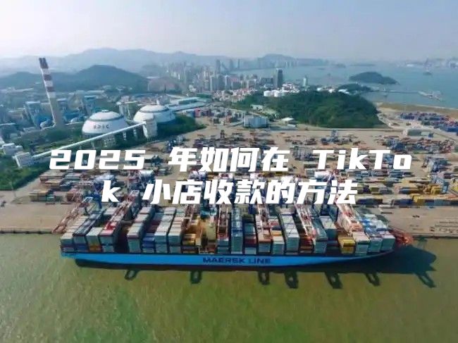 2025 年如何在 TikTok 小店收款的方法
