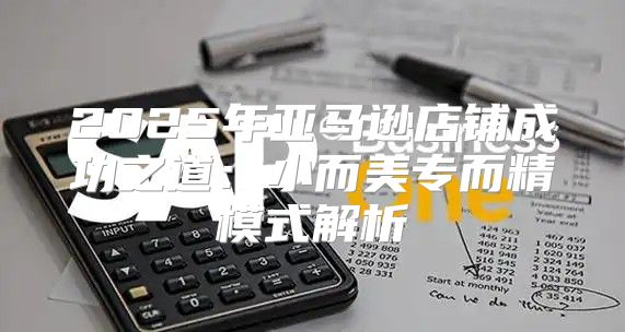 2025年亚马逊店铺成功之道：小而美专而精模式解析