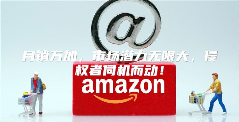 月销万加，市场潜力无限大，侵权者伺机而动！