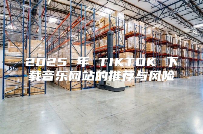 2025 年 TIKTOK 下载音乐网站的推荐与风险