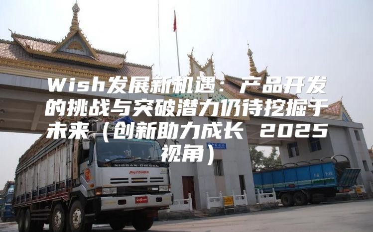Wish发展新机遇：产品开发的挑战与突破潜力仍待挖掘于未来创新助力成长 2025视角