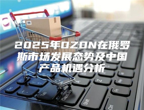 2025年OZON在俄罗斯市场发展态势及中国产品机遇分析