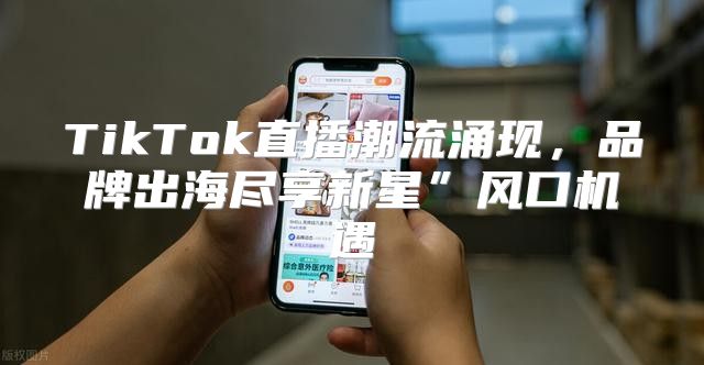 TikTok直播潮流涌现，品牌出海尽享新星”风口机遇