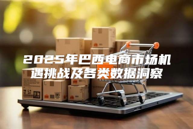 2025年巴西电商市场机遇挑战及各类数据洞察