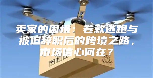卖家的困境：卷款逃跑与被迫辞职后的跨境之路，市场信心何在？