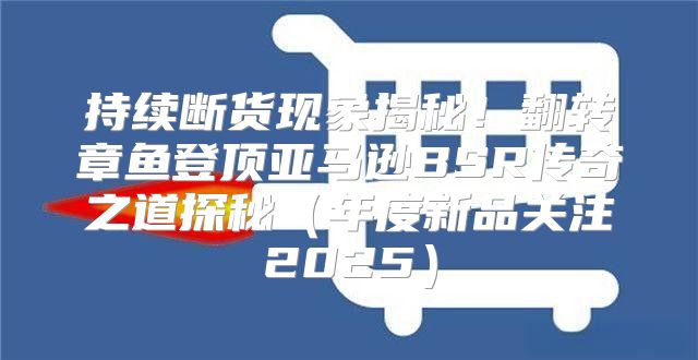 持续断货现象揭秘！翻转章鱼登顶亚马逊BSR传奇之道探秘年度新品关注2025