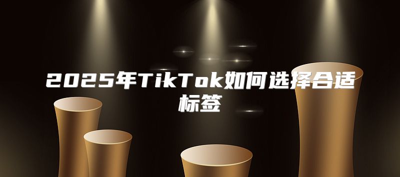 2025年TikTok如何选择合适标签