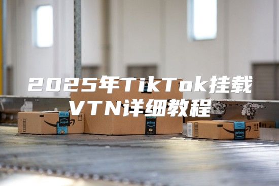 2025年TikTok挂载VTN详细教程