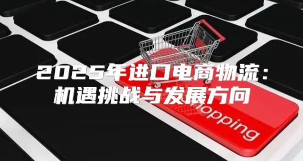 2025年进口电商物流：机遇挑战与发展方向