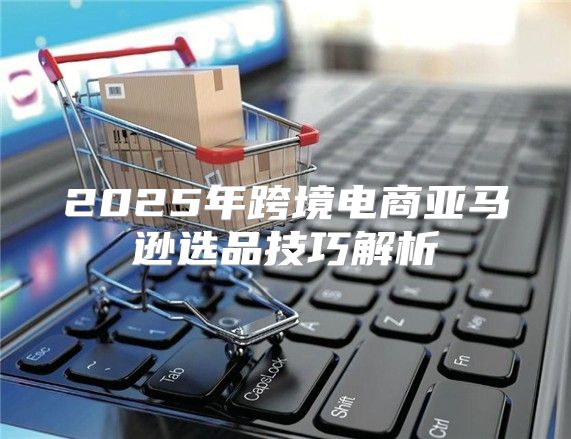 2025年跨境电商亚马逊选品技巧解析