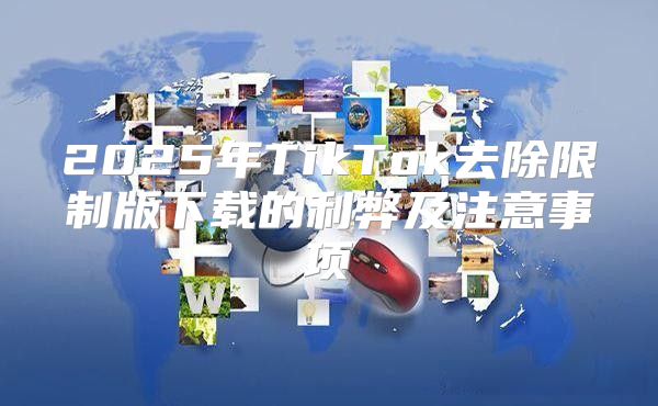2025年TikTok去除限制版下载的利弊及注意事项