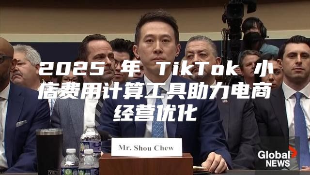 2025 年 TikTok 小店费用计算工具助力电商经营优化