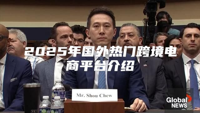 2025年国外热门跨境电商平台介绍